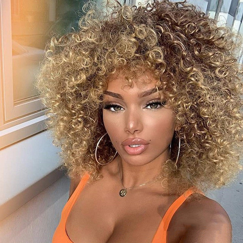 Afro Curly Wig