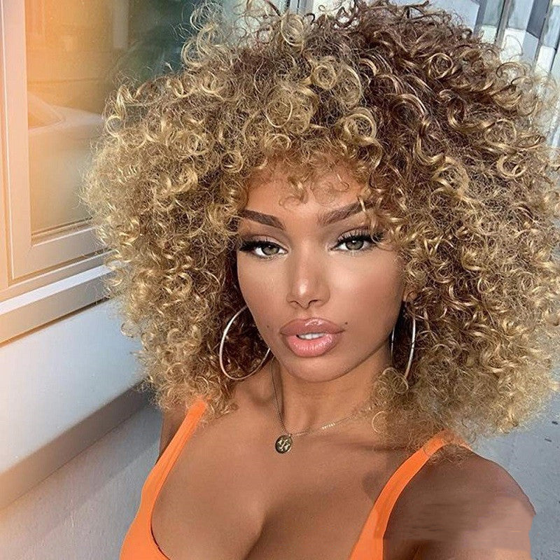Afro Curly Wig